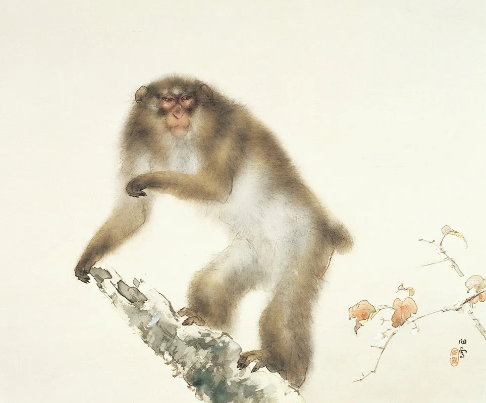 Old Monkey With Cherry In Autumn