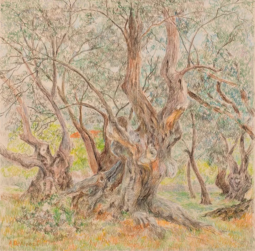 Old Olive Trees by Anna De Weert - Canvas Print