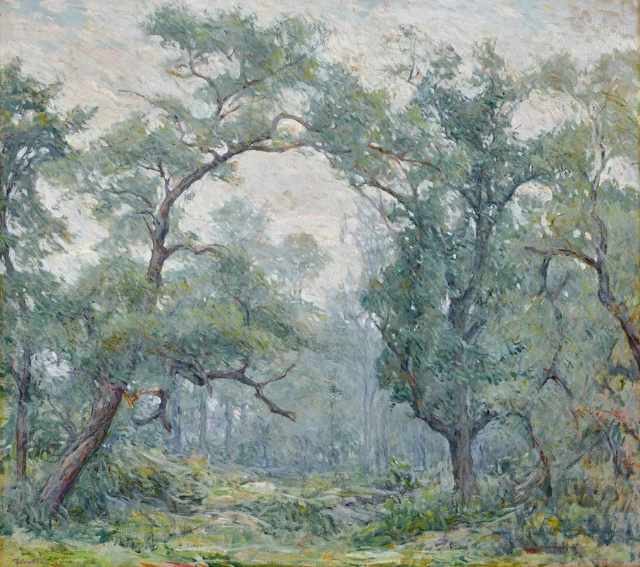 Old Willows 2