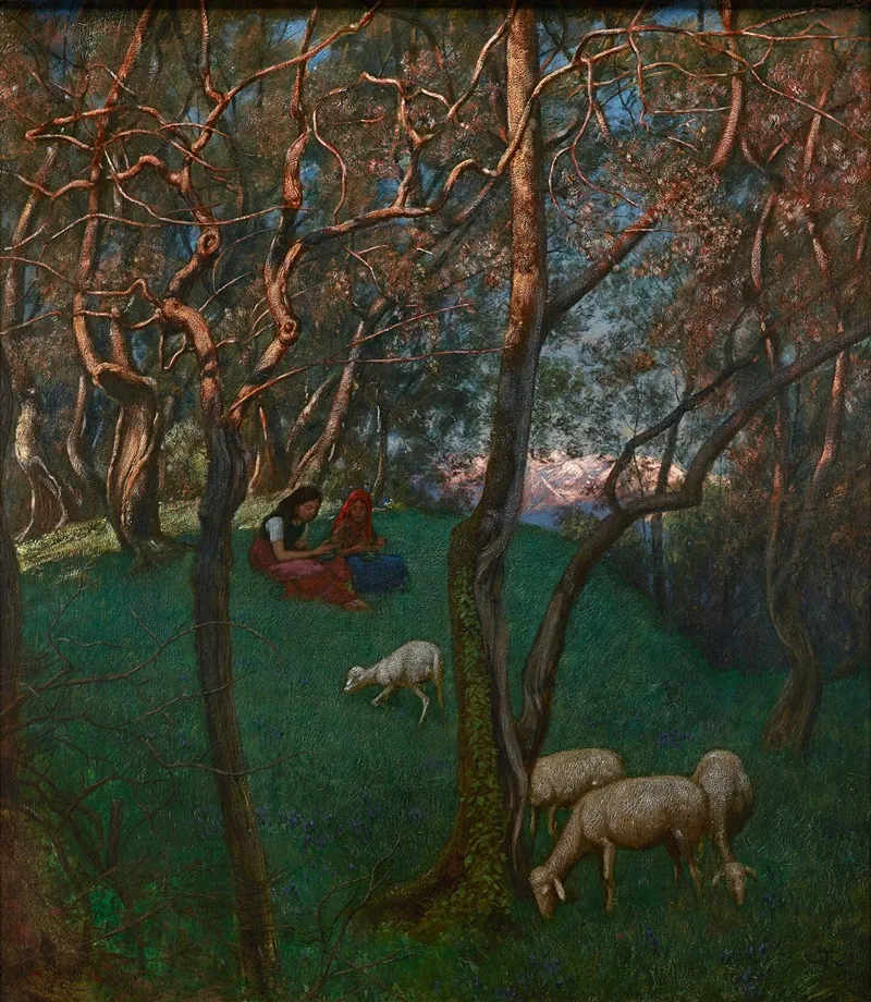 Olive Grove At Lake Garda