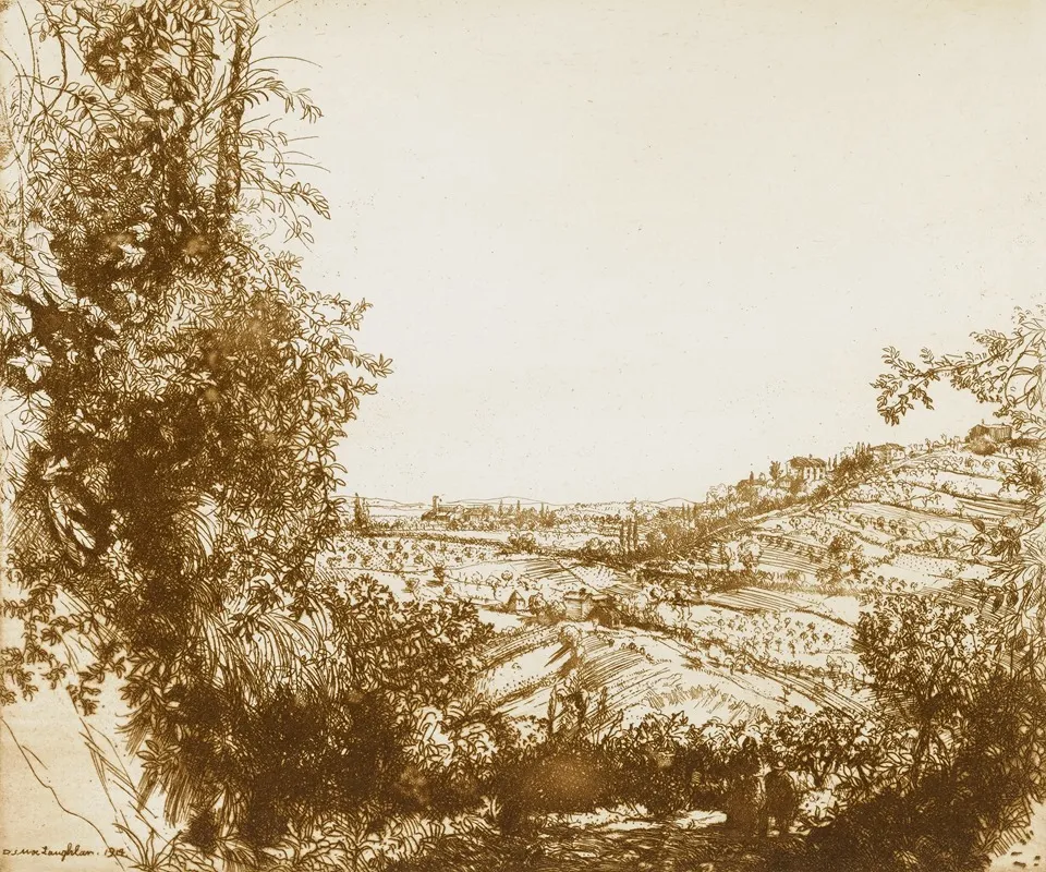 Olive Groves