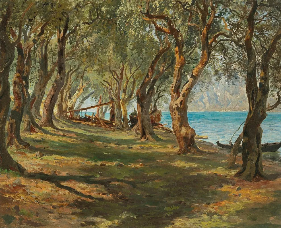 Olivenhain Am Gardasee by Carlo Brioschi - Canvas Print
