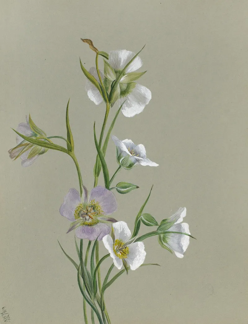 On The Road To Monument