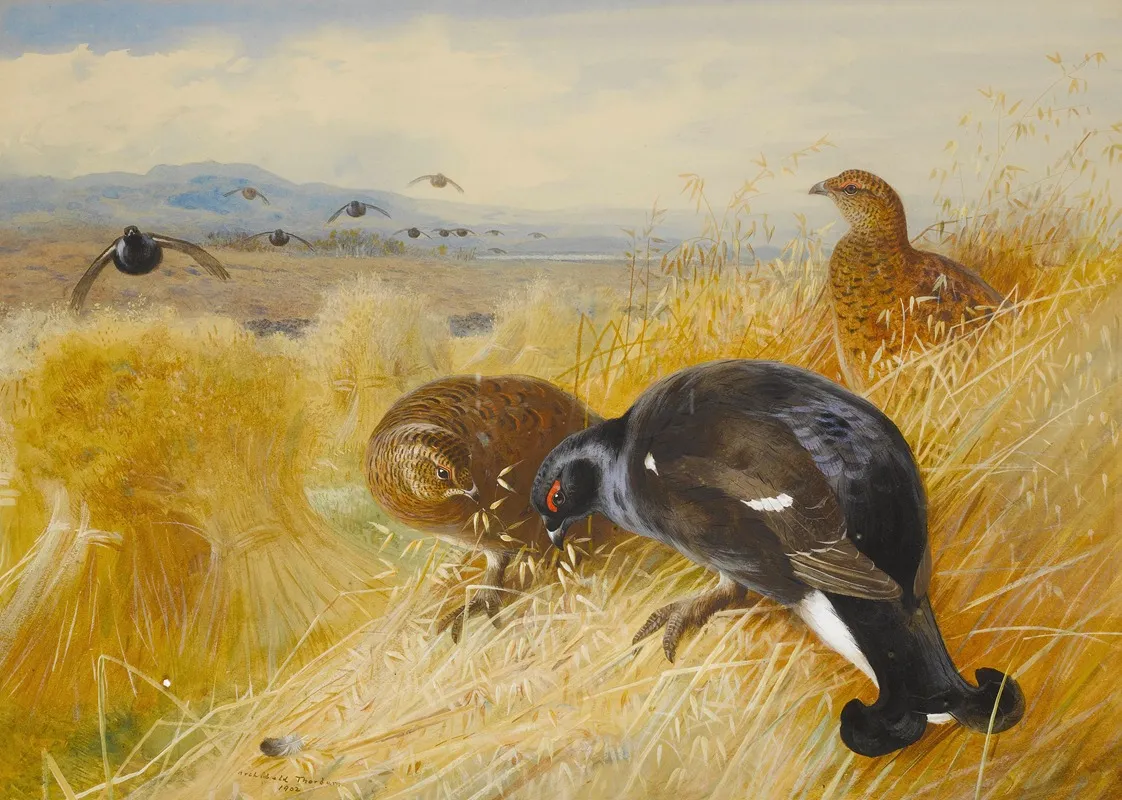 On The Stooksblackgame by Archibald Thorburn - Canvas Print