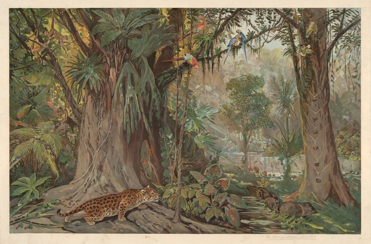 On The Upper Reaches Of The Amazon River