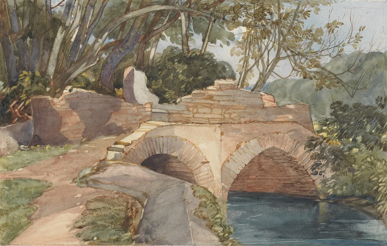 One From A Volume Of Drawings And Prints 14 by Rev. James Bulwer - Canvas Print