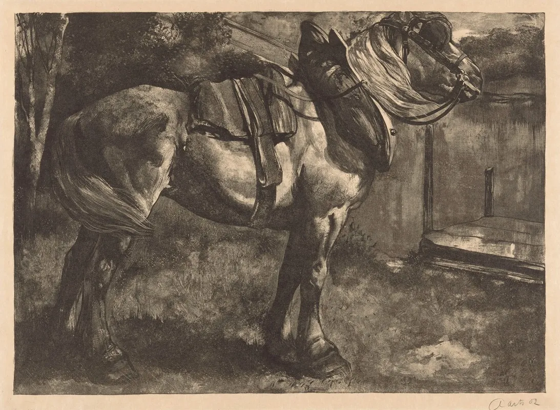 Opgetuigd Paard Op Een Oever