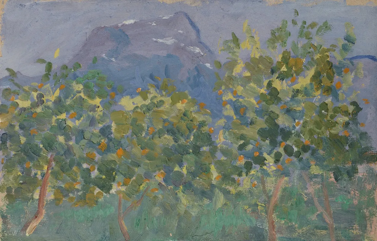Orange Trees And Distant Mountain