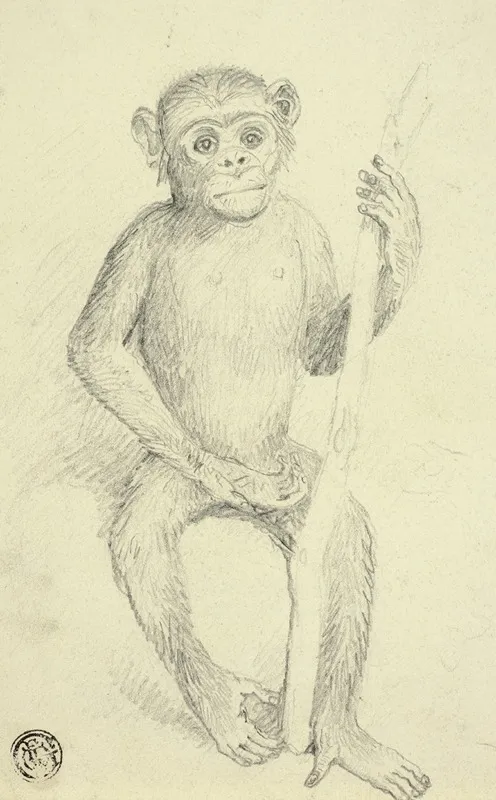 Orangutang