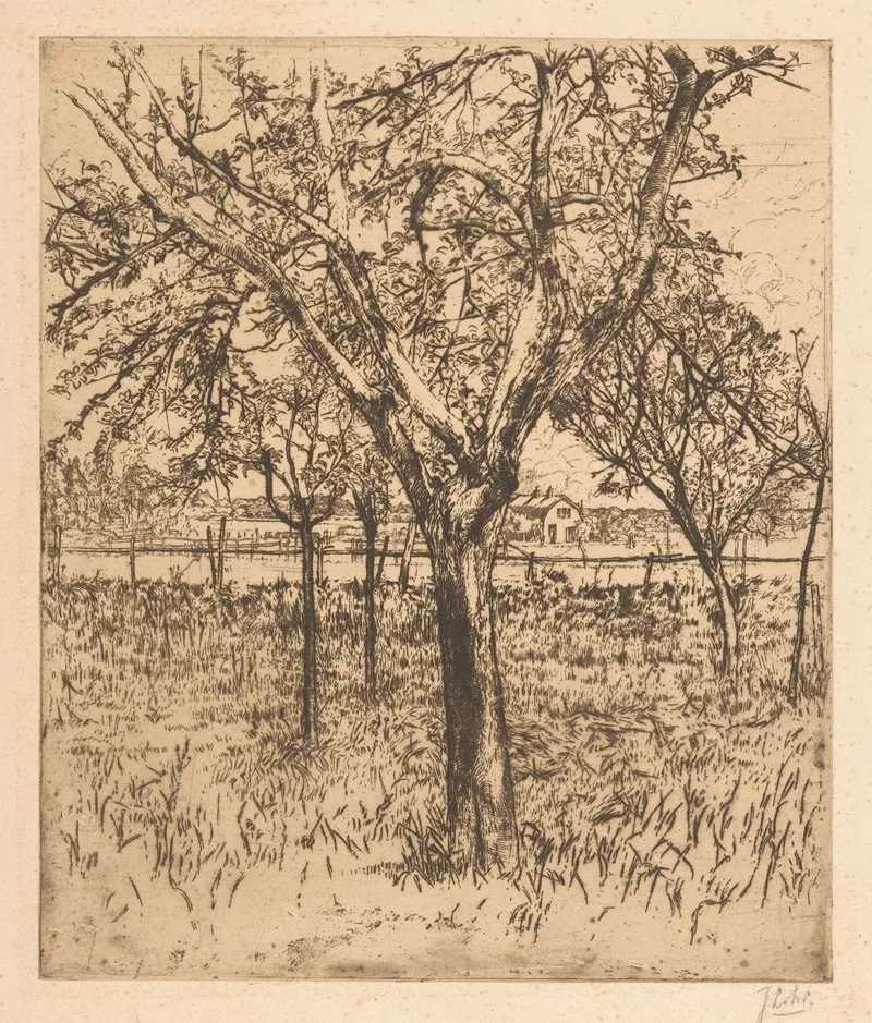 Orchard 6 by Johannes Löhr - Canvas Print
