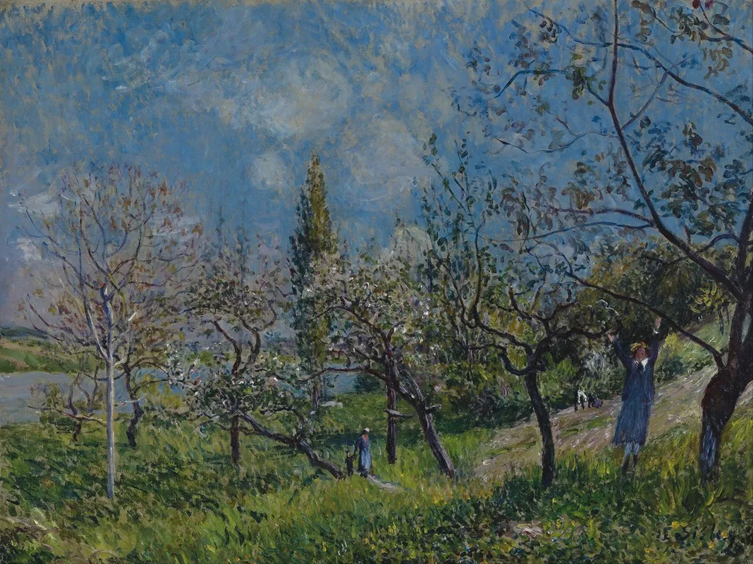 Orchard In Spring