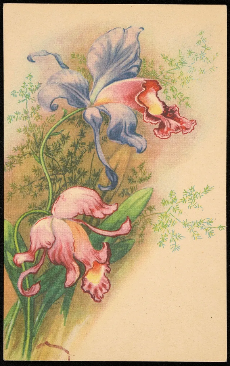 Orchidea by Wyd. Fr. Karpowicz - Canvas Print