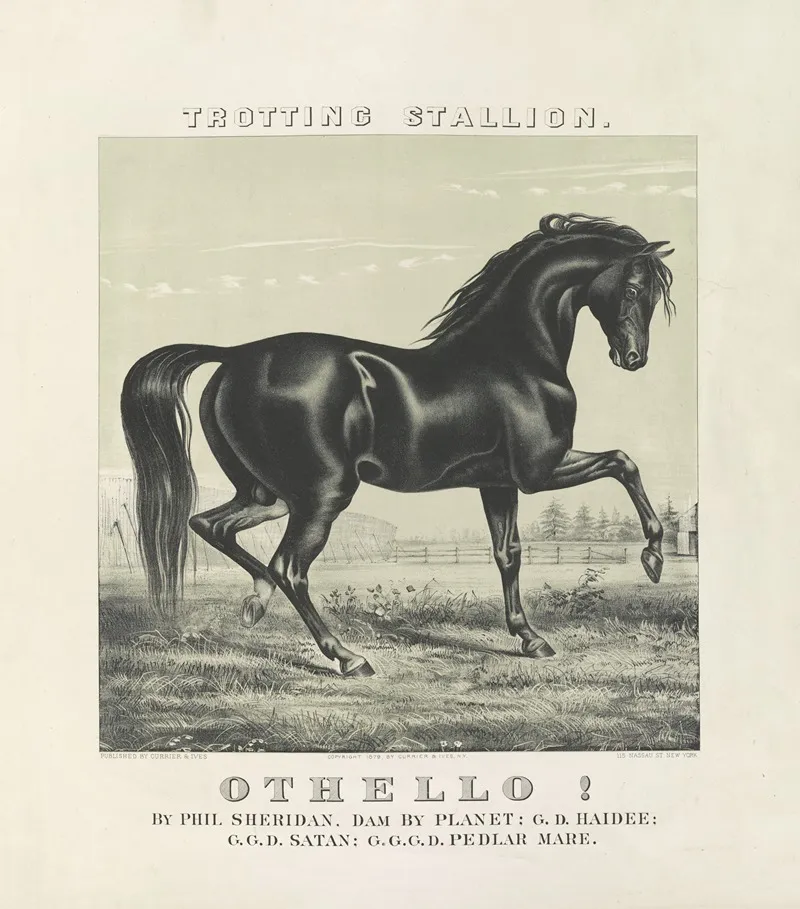 Othello Trotting Stallion