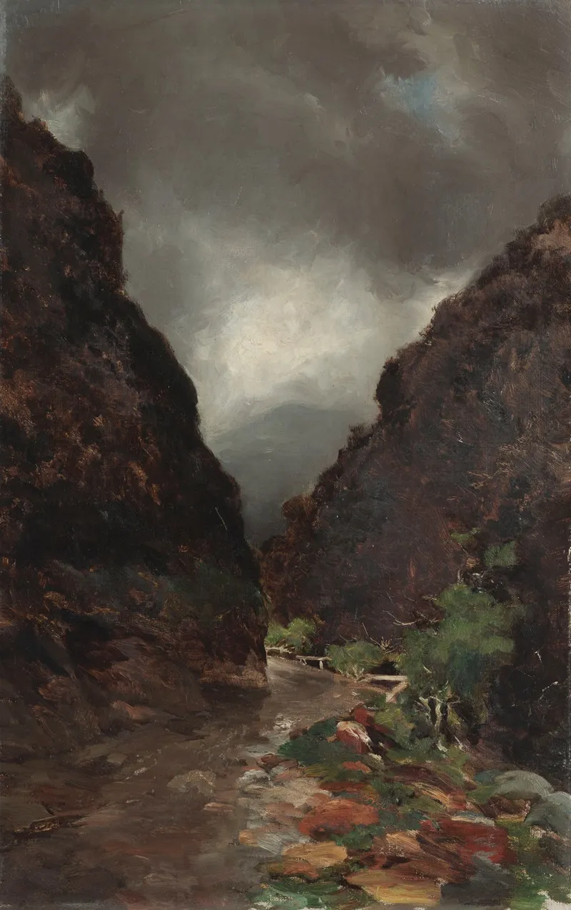 Otira Gorge by Petrus van der Velden - Canvas Print