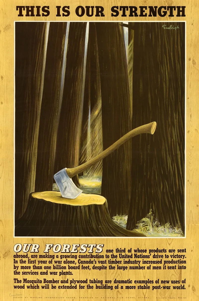 Our Forests This Is Our Strength