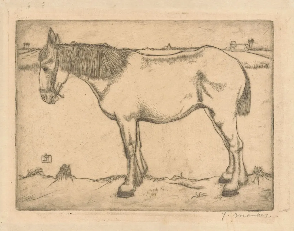 Paard 2