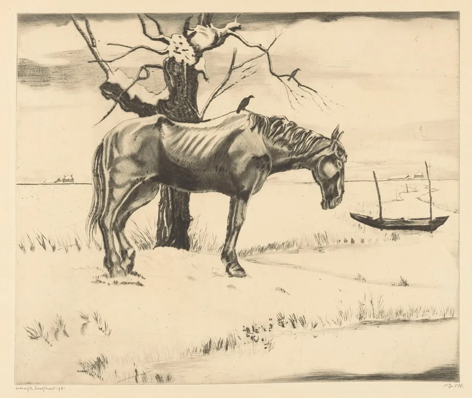 Paard In Een Besneeuwd Landschap
