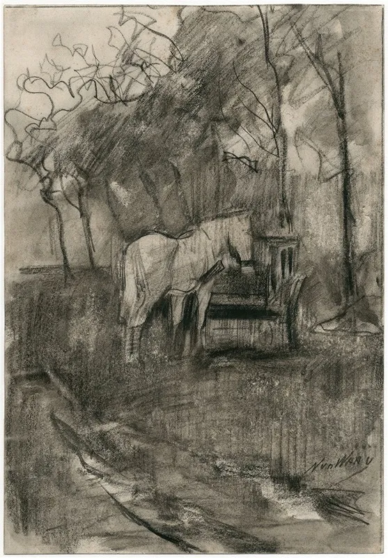 Paard In Een Wei by Nicolaas van der Waay - Canvas Print