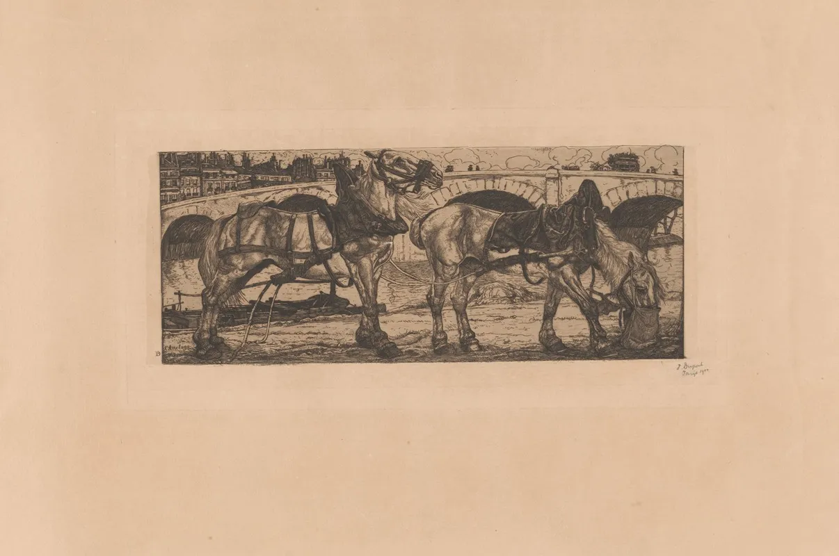Paarden Aan De Seine In Parijs