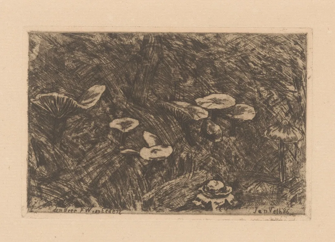 Paddenstoelen 3