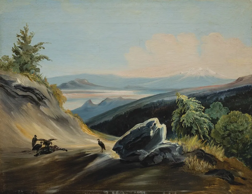 Paisaje De Sendero Con El Iztaccihuatl En La Lejania