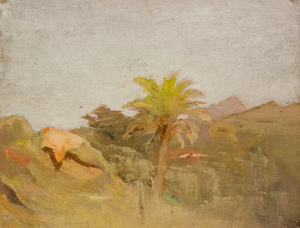 Palm Tree In Ceylon From The Journey To India
