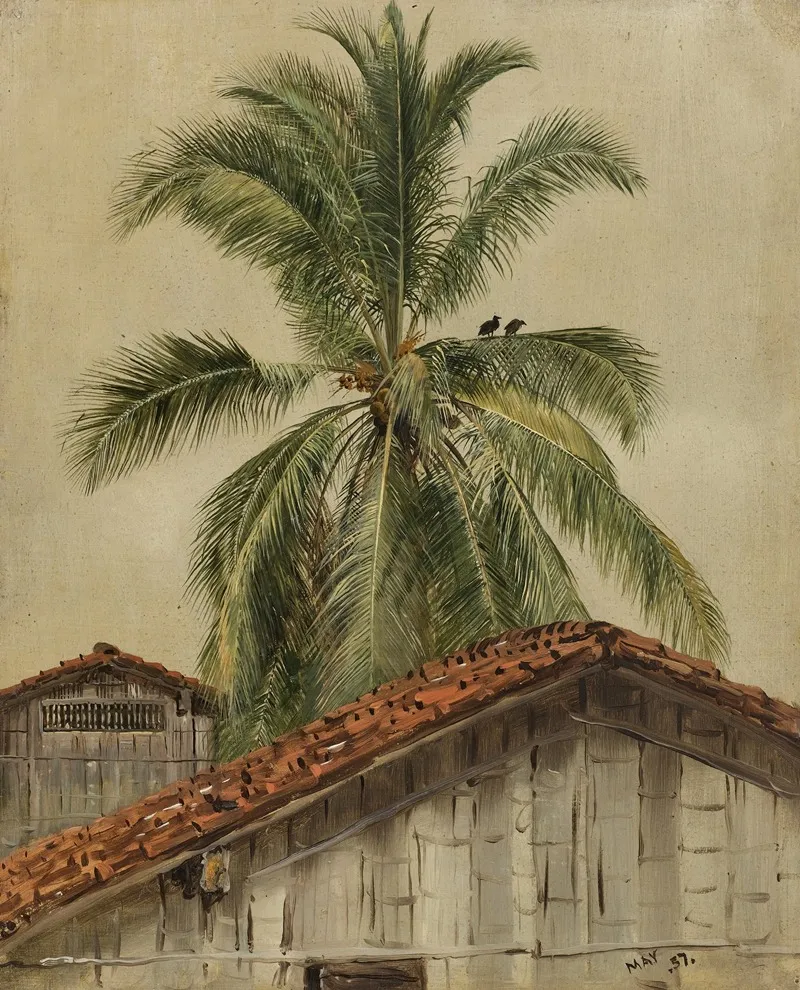Palm Trees And Housetops Ecuador