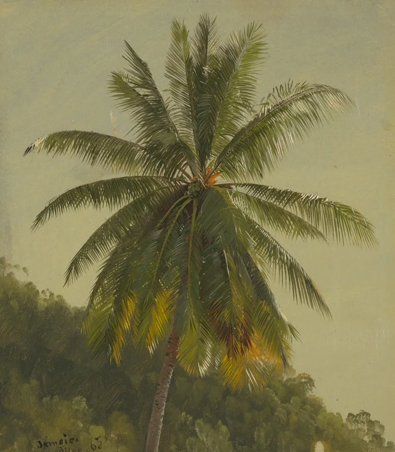 Palm Trees West Indies by Frederic Edwin Church - Canvas Print