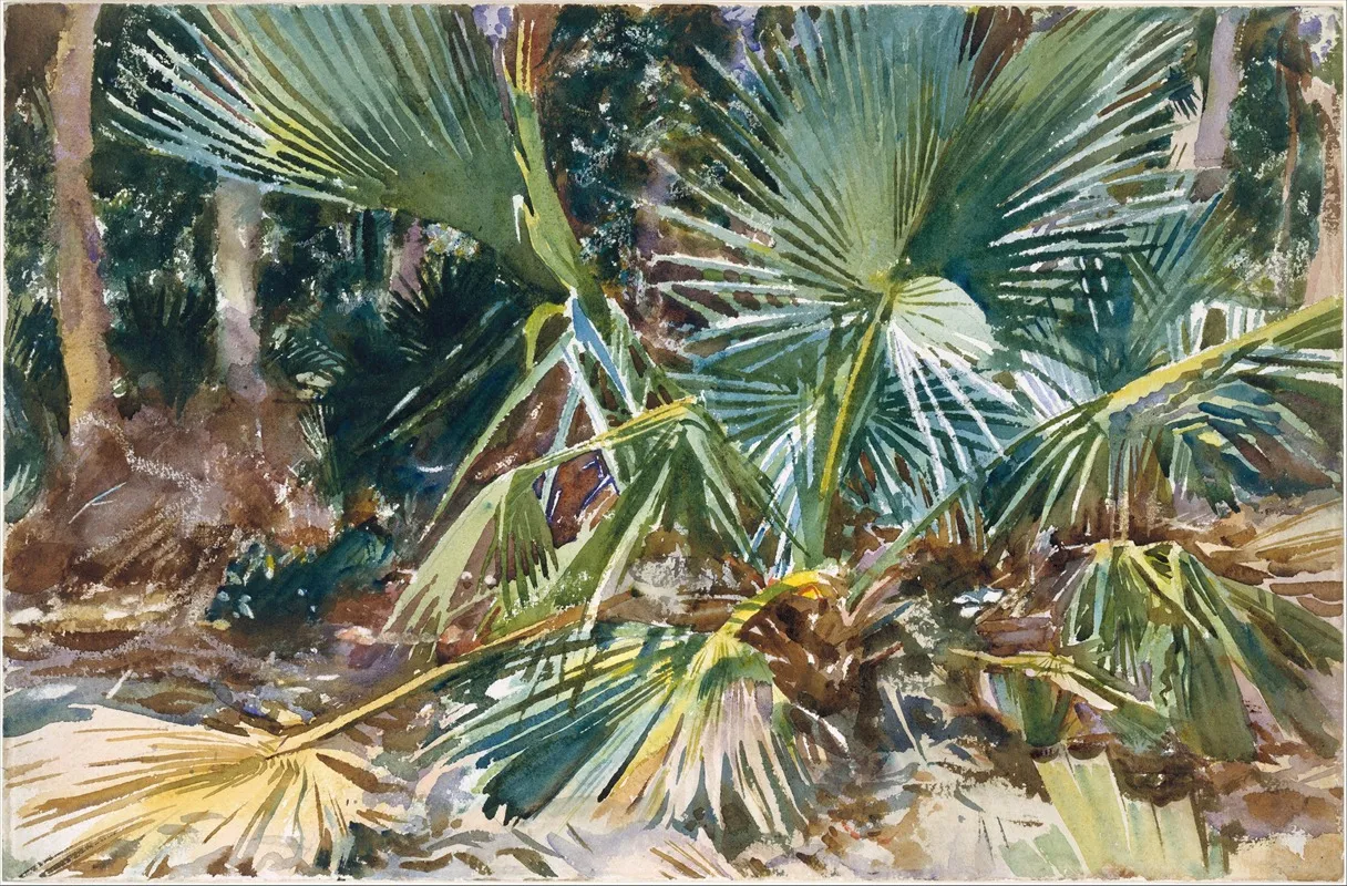 Palmettos