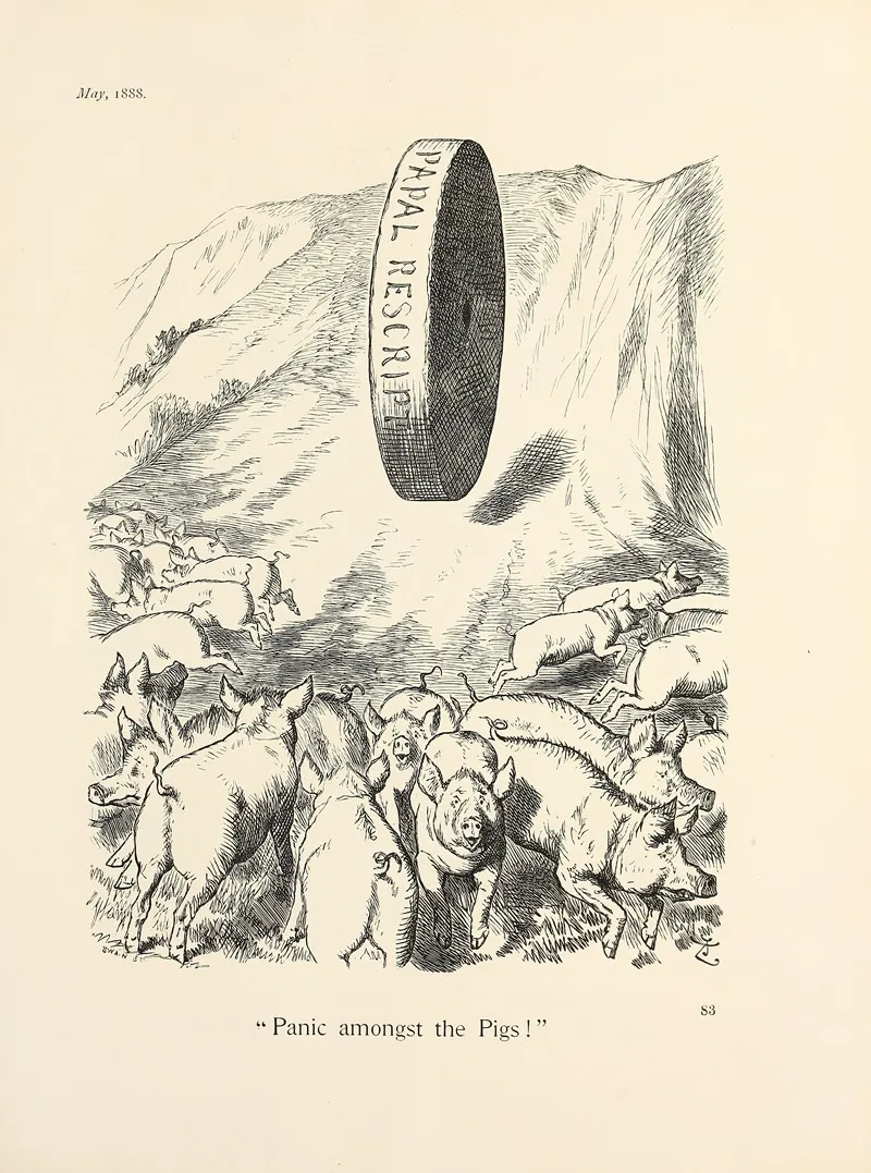 Panic Amongst The Pigs
