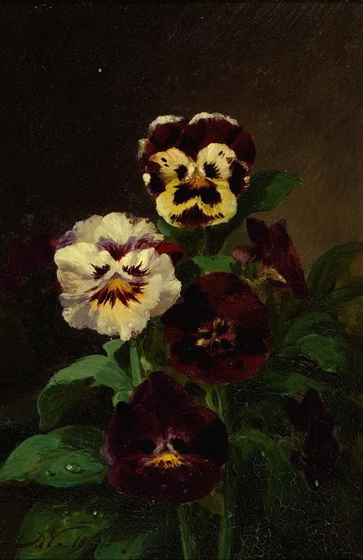 Pansies 6