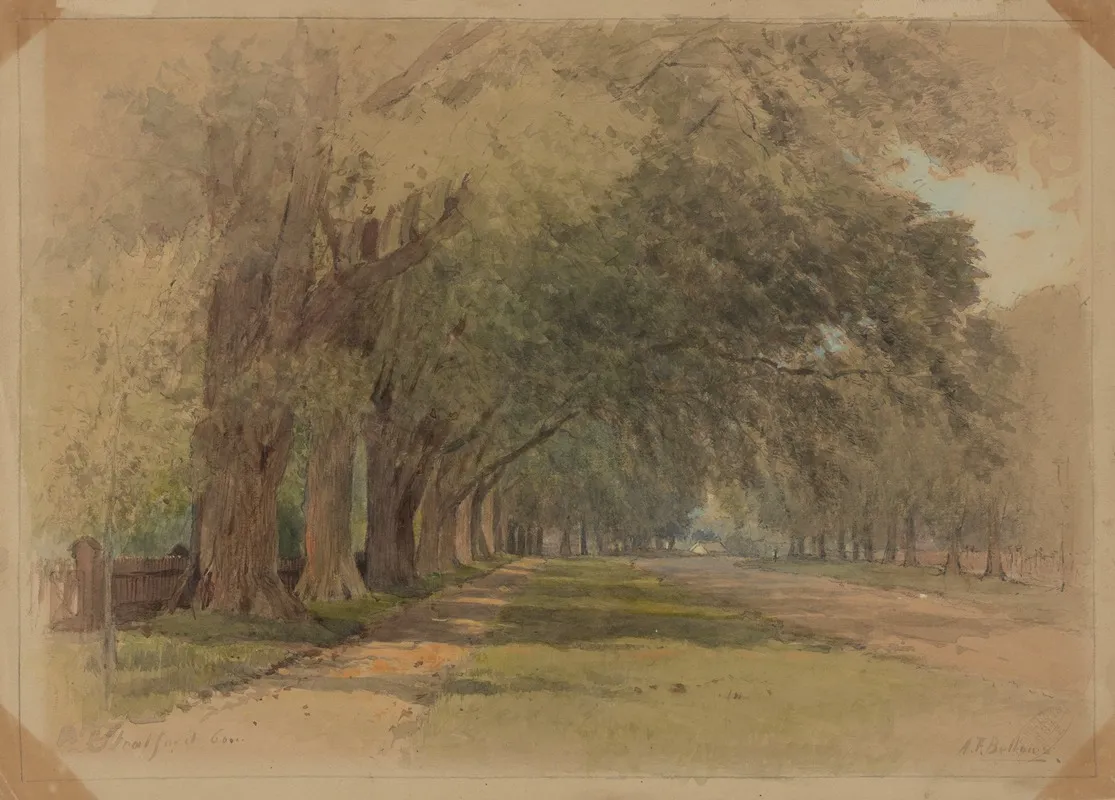 Park In Stratford Conn