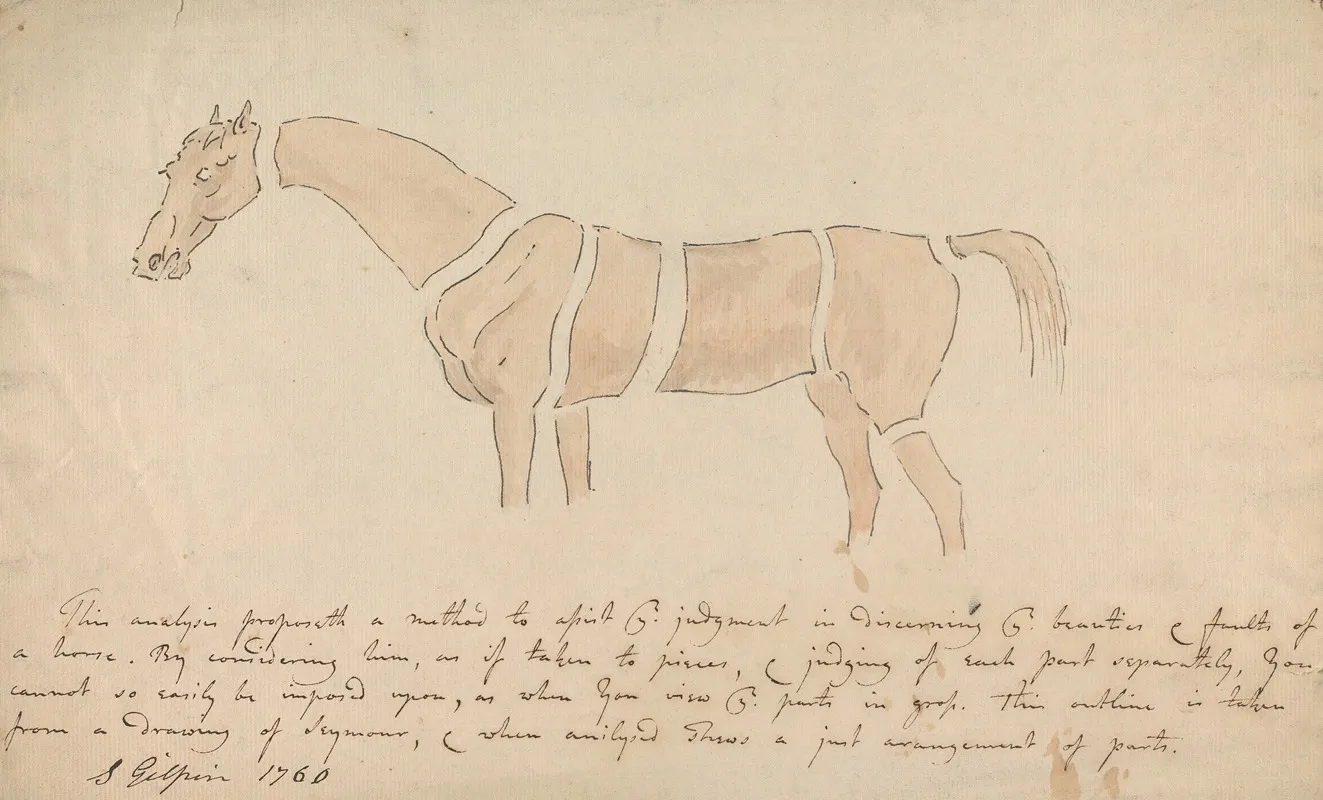 Parts Of The Properly Proportioned Horse