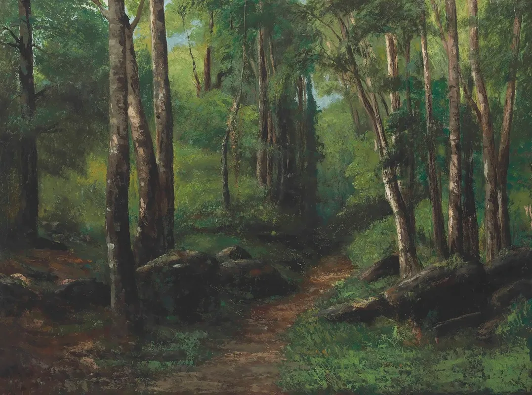 Path Through The Forest