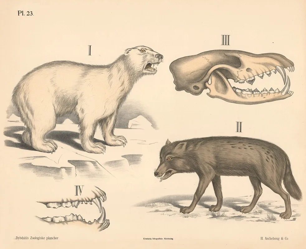 Pattedyr Rovdyr Variant 1