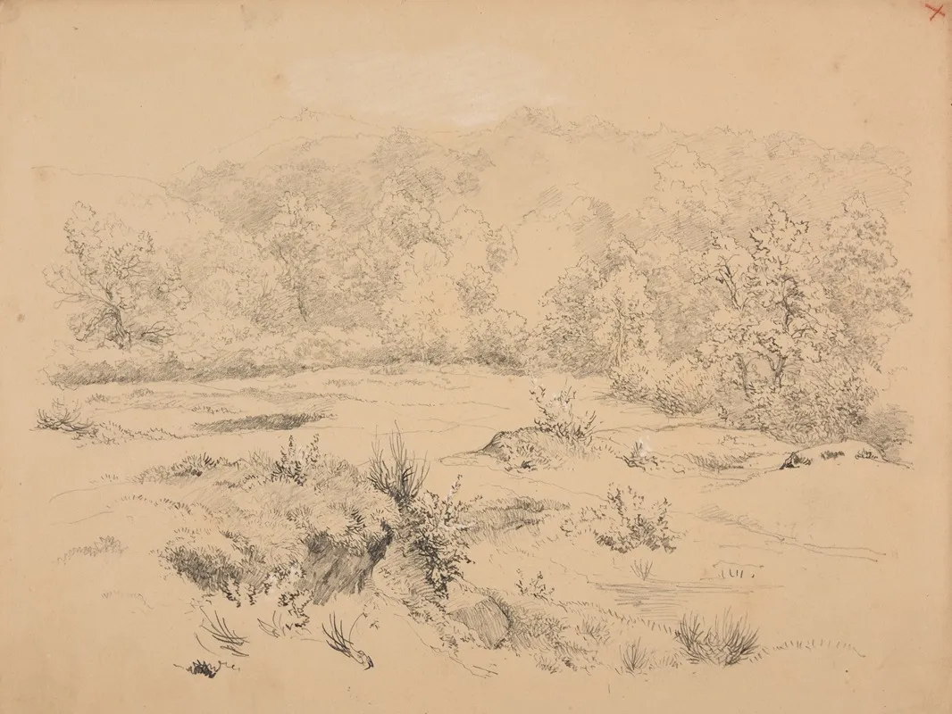 Paysage 28