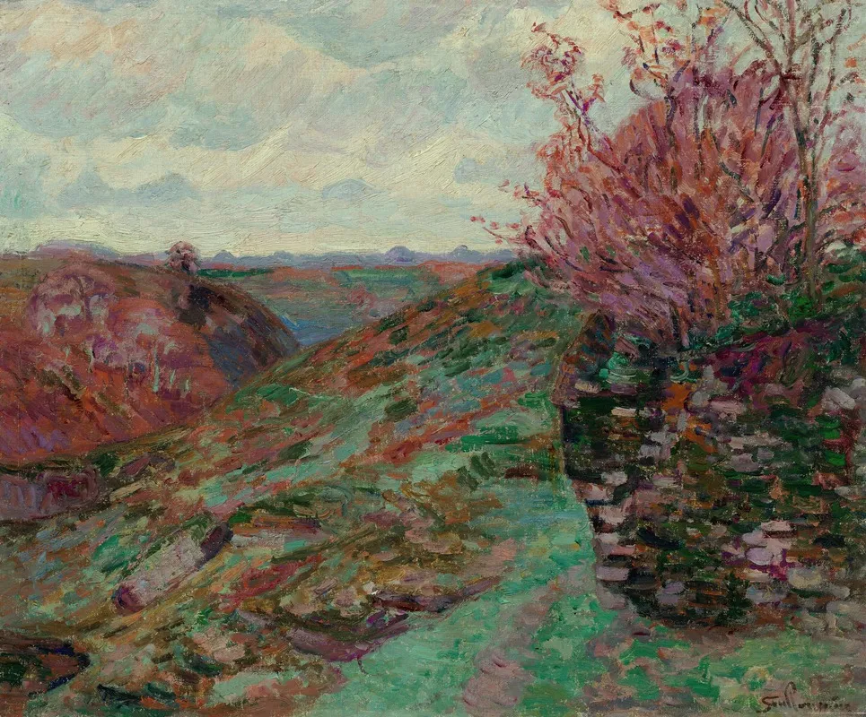 Paysage 64
