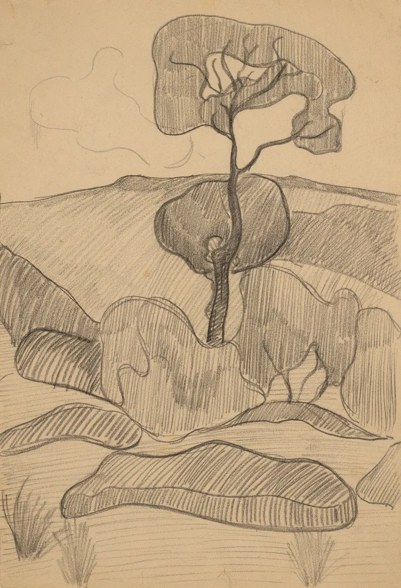 Paysage 67