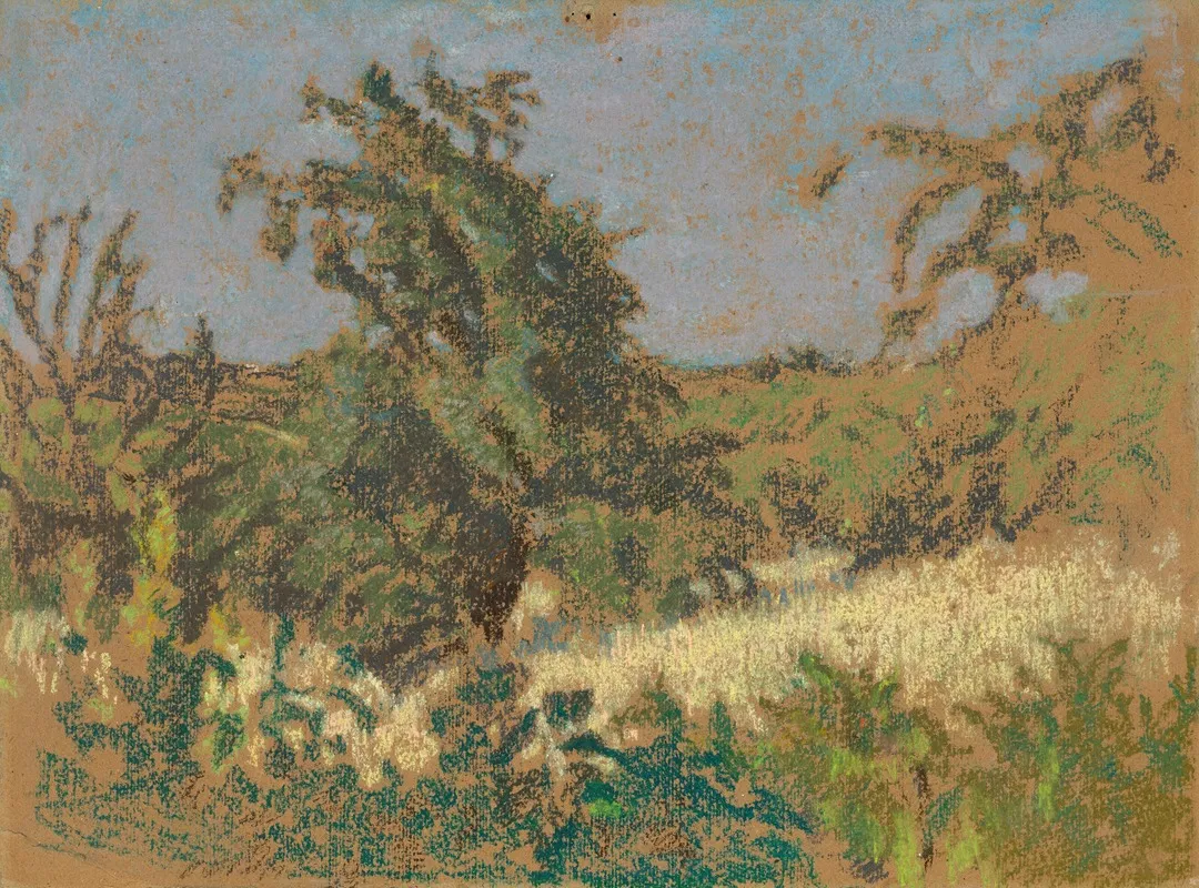 Paysage 72 by Ker-Xavier Roussel - Canvas Print