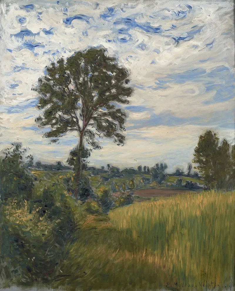 Paysage Au Grand Arbre