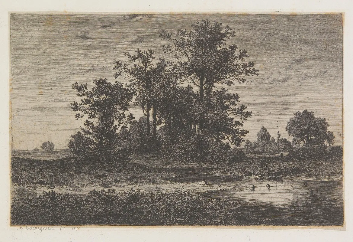 Paysage Boise Avec L Etang