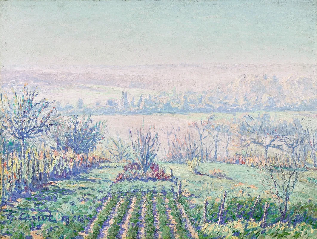 Paysage Brume Matinale