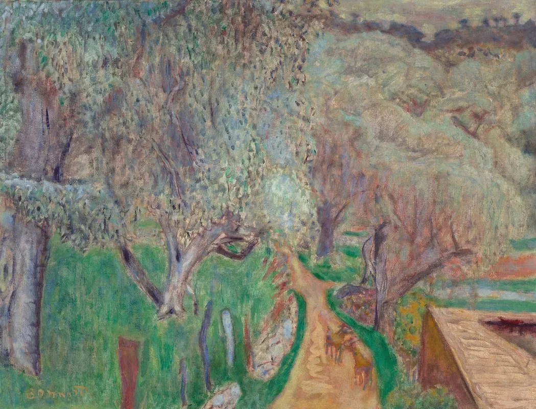 Paysage Clair Ou Oliviers A Cagnes by Pierre Bonnard - Canvas Print