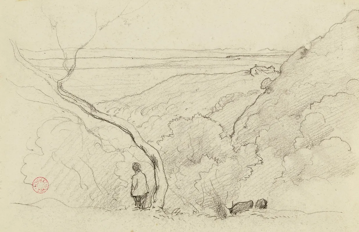 Paysage De Bord De Mer