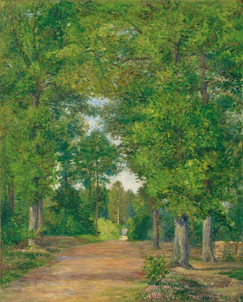 Paysage De Foret