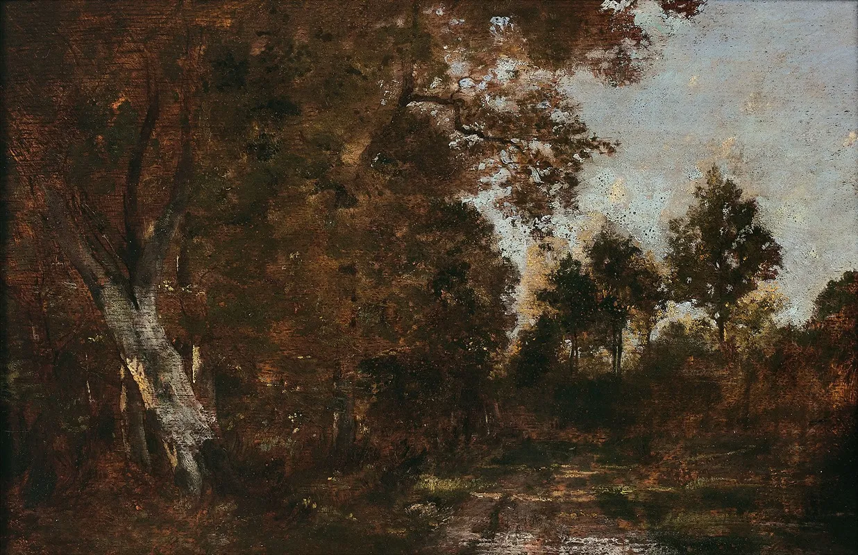 Paysage De Sous Bois