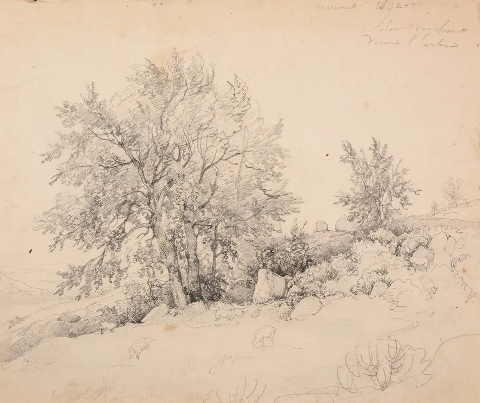 Paysage Des Cevennes