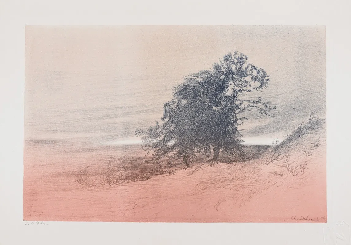 Paysage Landscape