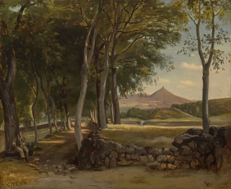 Paysage Montagneux Vu A Travers Les Arbres