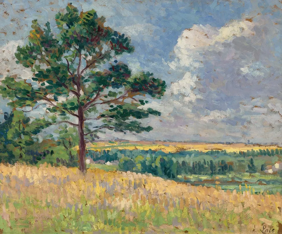 Paysage Pres De Mereville